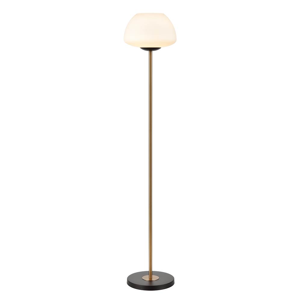 Elk Home Ali Grove 62'' High 1-Light Floor Lamp - Aged Brass